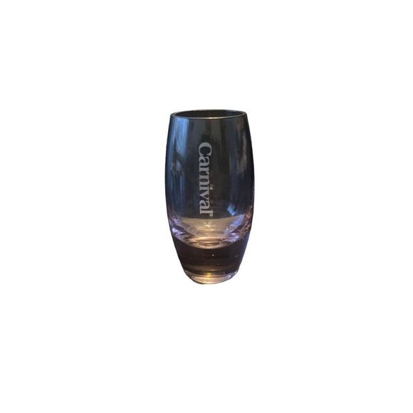 Pre Owned Carnival Cruise Pink Shot Glass Etched Logo - Picture 1 of 10